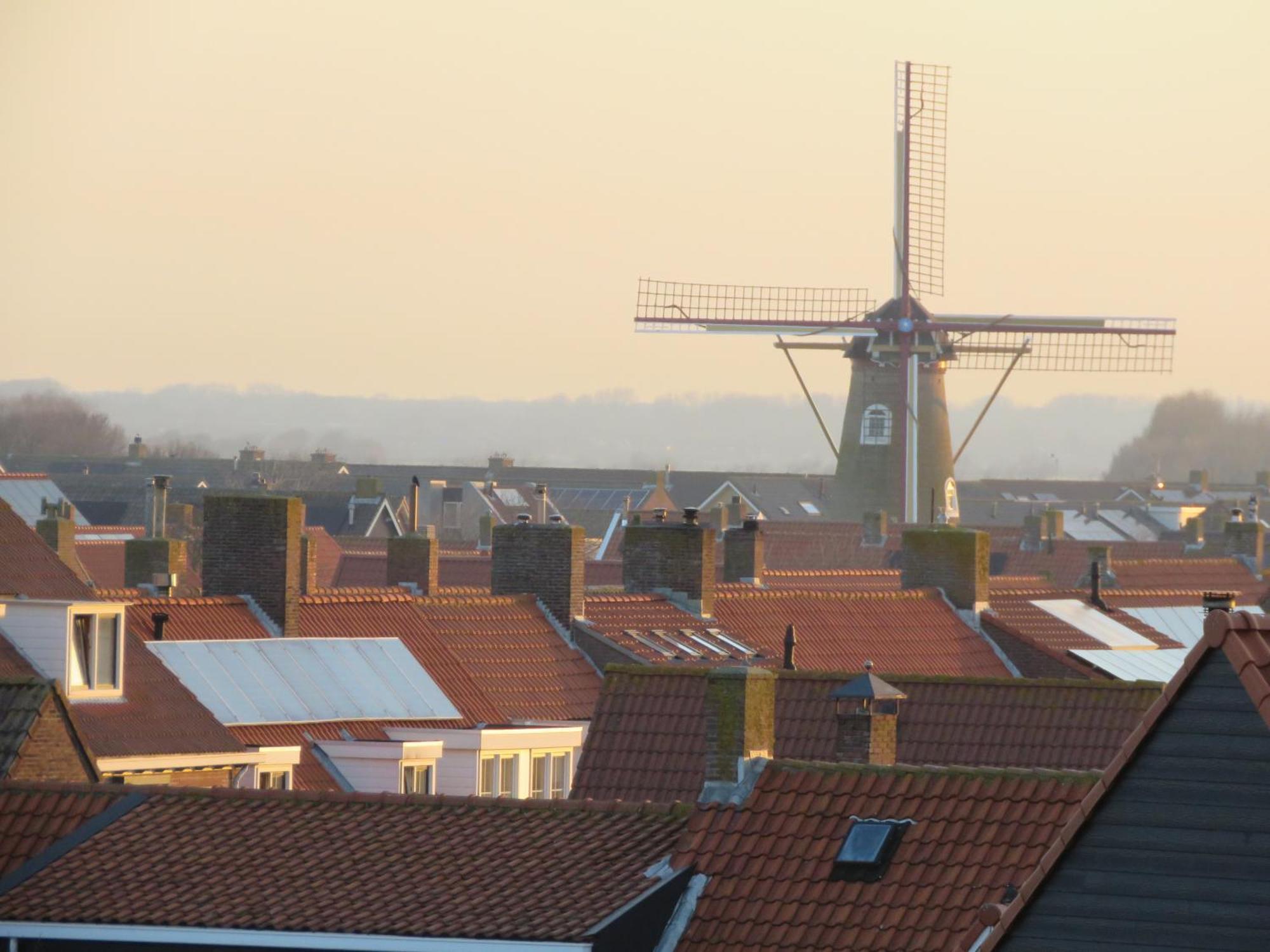 De Perenboom Villa Westkapelle Bagian luar foto